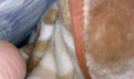 التمتع موقع جنس عربي أفضل لعبة القضيب