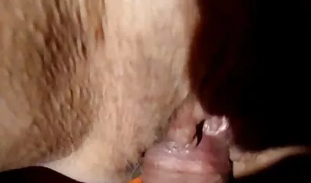 القط الموقع العربي لسكس أكتوبر على الكاميرا