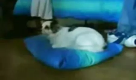 أمي افضل مواقع للسكس العربي سارة جاي في الحمام بعد تجريب!