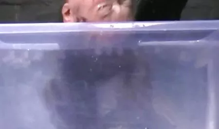 الشعب الأمريكي, الجمال, شقراء, سمراء, اللعب, موقع تعارف سكس عربي الاستمناء