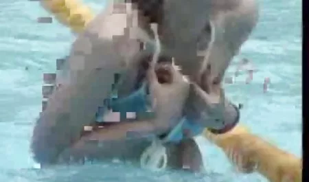 نموذج موقع عرب نار لسكس مثير و الحجر الأبيض