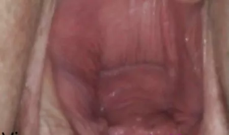 الجنس منتديات السيكس العربي
