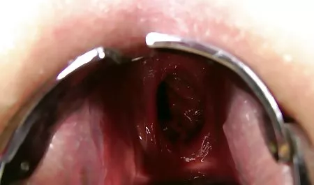 سحاقيات موقع سكس مترجم عربي جديد