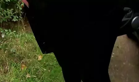يمكن موقع نسوانجي سكس وشم كبير مع